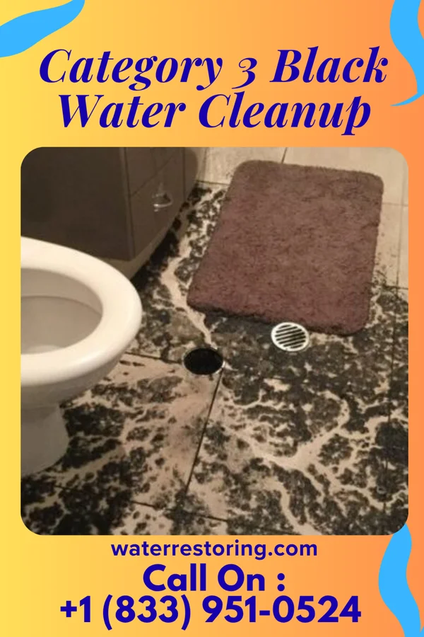 Category 3 Black Water Cleanup in Warsaw, VA