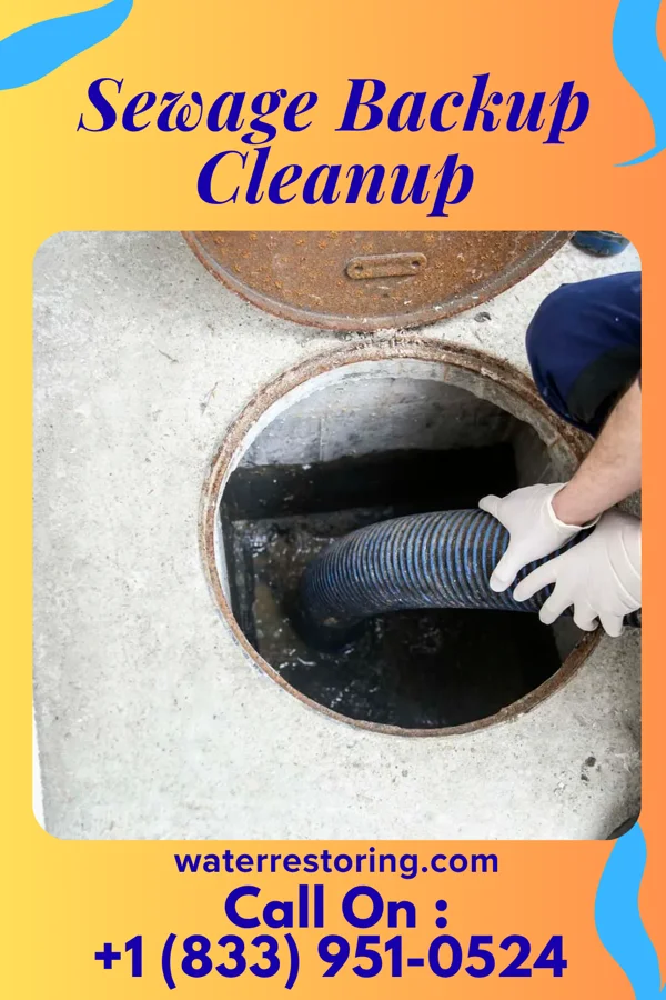 Sewage Backup Cleanup in Warsaw, VA